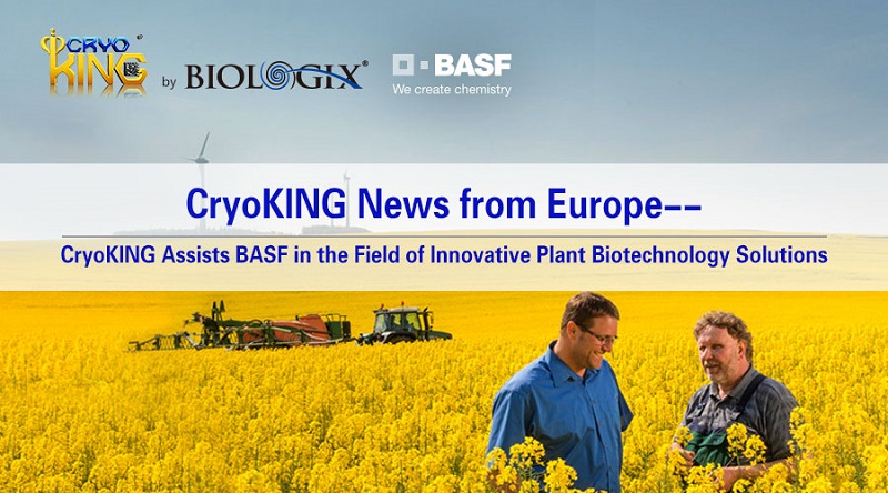 CryoKING News from Europe--CryoKING Assists BASF in the Field of Innovative Plant Biotechnology Solutions