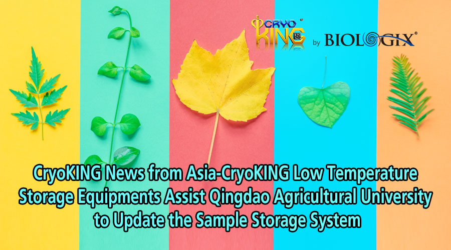 CryoKING News from Asia-CryoKING Low Temperature Storage Equipments Assist QAU to Update the Sample Storage System