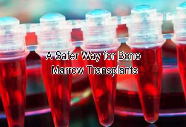 A Safer Way for Bone Marrow Transplants